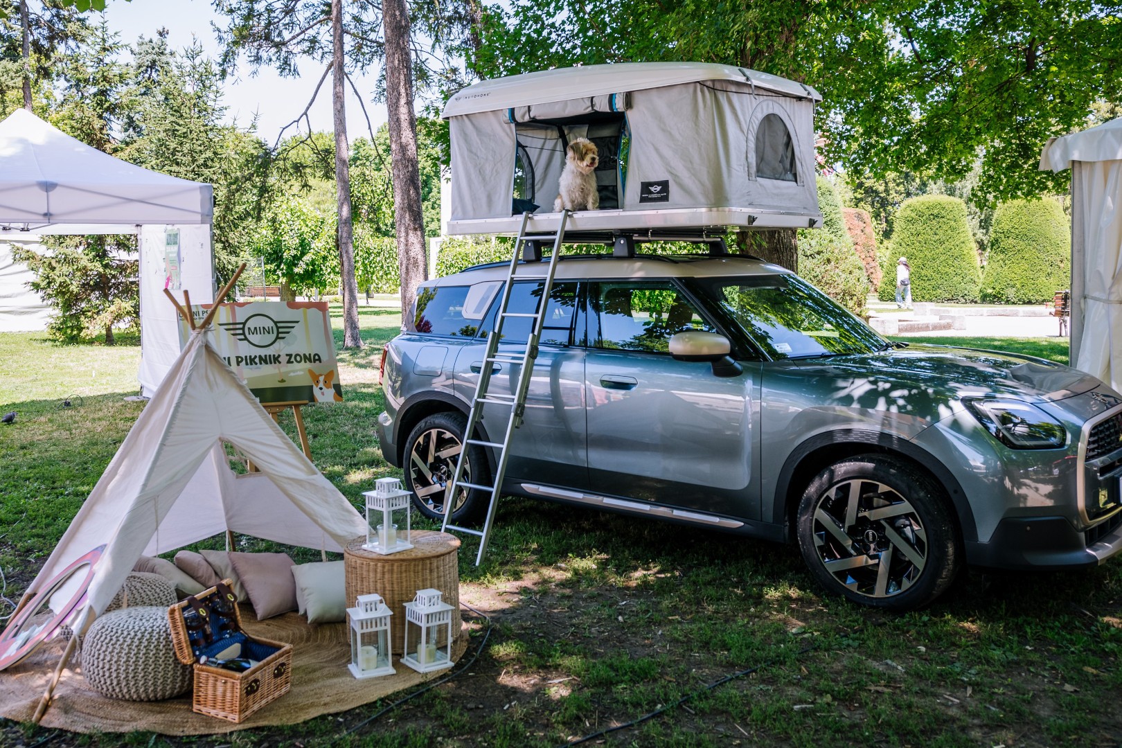 MINI Srbija podržao treći Festival uličnih pasa